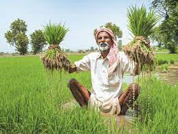 Chhattisgarh Chief Minister Vishnu Deo Sai launched 'Krishak Unnati Yojna' to provide input assistance to farmers and released Rs13,320 crore to 24.72 lakh cultivators.
