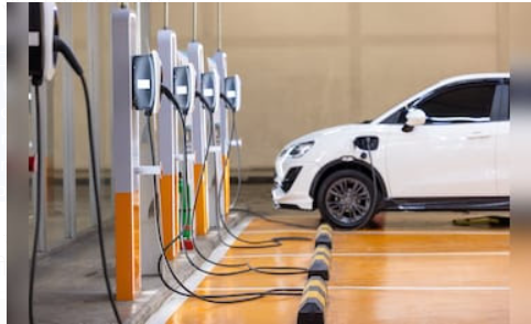 Goi caps interest equalisation at Rs 1.66 crore per IEC for July-August 2024.
