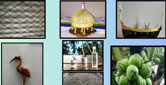 "Seven Products from Andaman and Nicobar Islands Receive GI Tags".