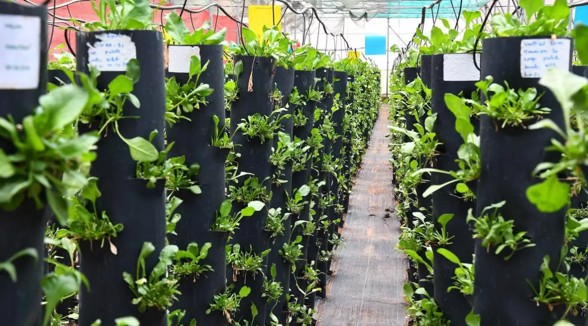 JICA and Uttarakhand Sign Agreement for Integrated Horticulture Development Promotion Project.