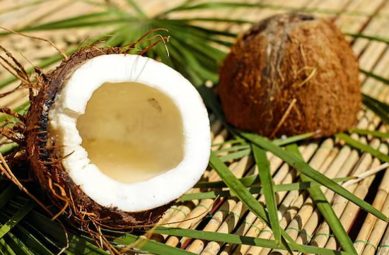 World Coconut Day Observed Every September 2 to Celebrate the “Tree of Life”.