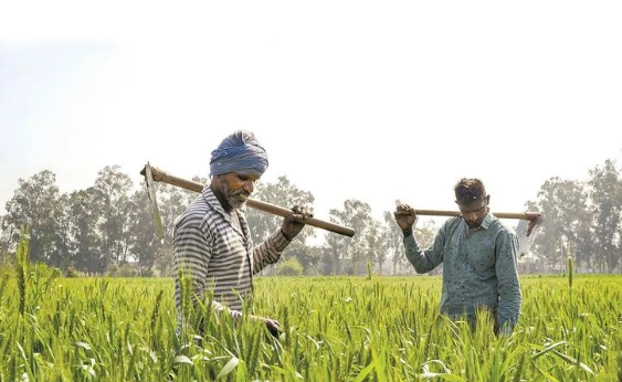 Labour Bureau Releases All-India CPI and Inflation Data for Agricultural and Rural Labour.