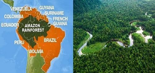 COP30 Concludes in Brazil with "Belem Declaration" on Rainforest Conservation.