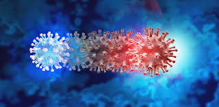 WHO Classifies "JN.1" as a Separate "Variant of Interest".