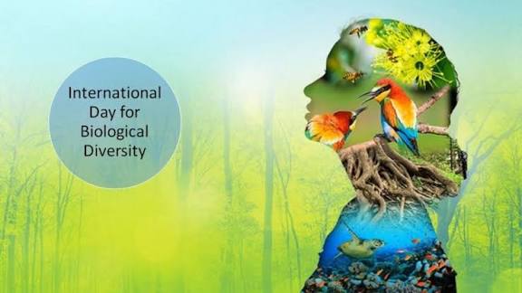 International Day for Biological Diversity (Convention Anniversary) Observed.