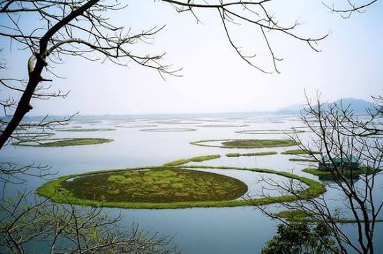 India Adds 5 New Wetlands to Ramsar List, Total Reaches 80.