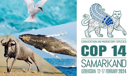 CMS COP14 on Migratory Species Begins in Uzbekistan.
