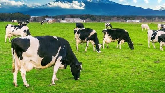 Cabinet Approves Extension of AHIDF Scheme for 3 Years.