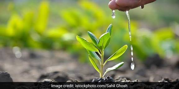 Haryana CM Launches "Van Mitra" Scheme for Afforestation.