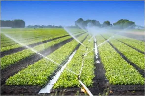 Maharashtra Launches Maha Krishi Sinchai Yojana.