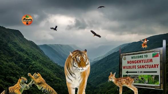 Meghalaya Declares Nongkhyllem as a New Tiger Reserve.