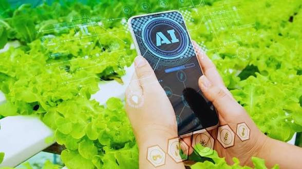 पीएम मोदी ने किसानों के लिए एआई कृषि पोर्टल (AI Krishi Portal) लॉन्च किया।