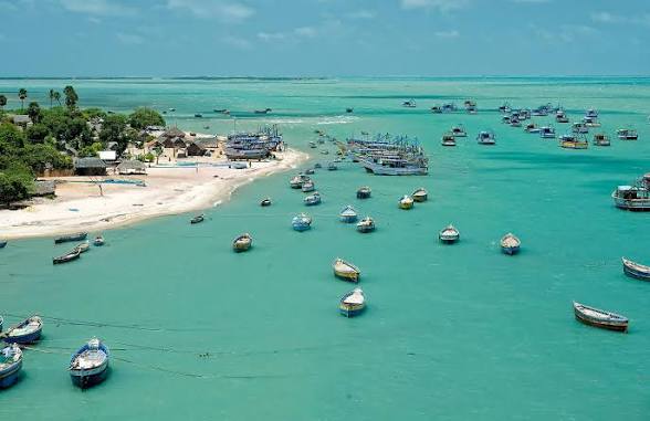 Tamil Nadu Notifies Extension of Gulf of Mannar Dugong Reserve.
