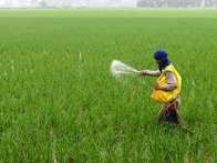 Government Announces Massive Expansion of PM KISAN Samriddhi Kendras.