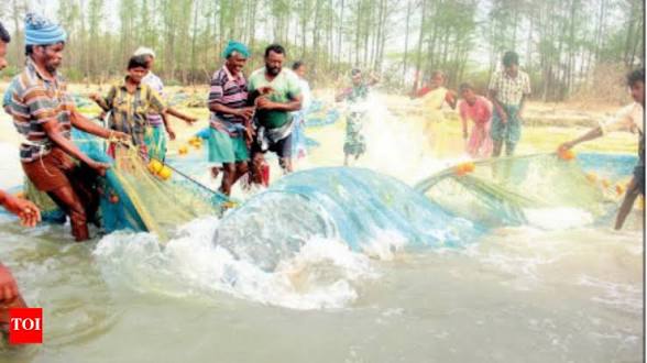 Tamil Nadu Declares Palk Bay as New Marine Conservation Reserve.