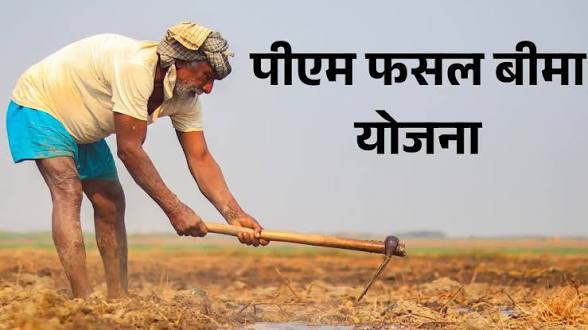 Government Expands PM Fasal Bima Yojana for Horticulture Crops.