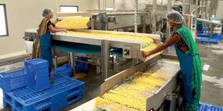 Government Announces Massive Expansion of PM FME Scheme for Food Processing.