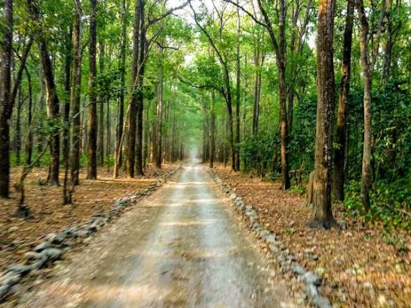 Haryana Notifies Kalesar Forest Biodiversity Extension.