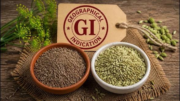 <b>Unjha</b> product from Gujarat receives a <b>Geographical Indication tag</b>.