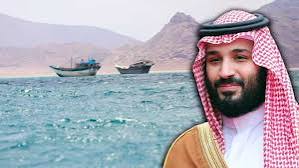 <b>Saudi Arabia Leads 14-Nation Red Sea Maritime Defence Alliance.</b>